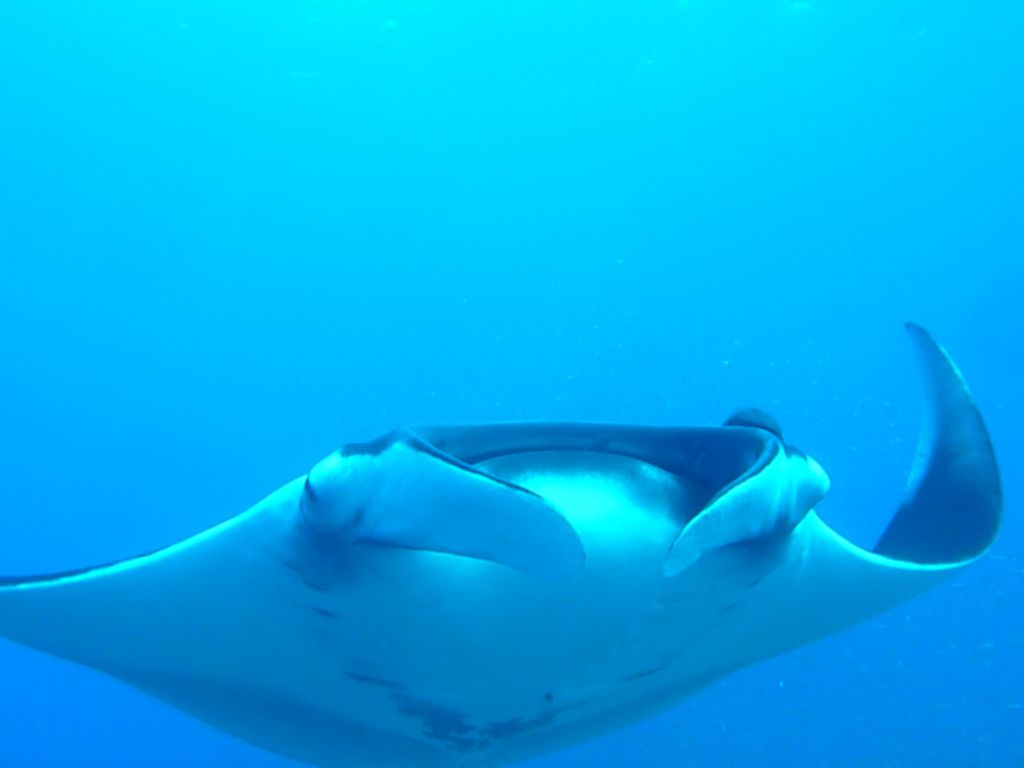 34e277c9-748f-4a12-a896-fb8f6900359e