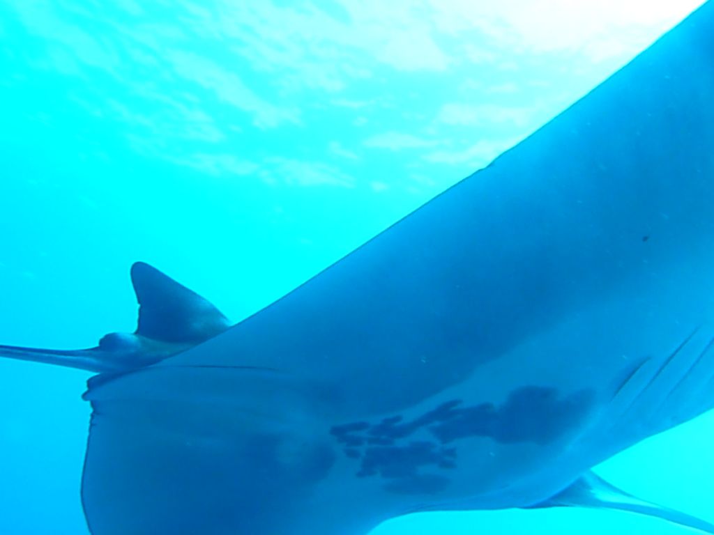 34e277c9-748f-4a12-a896-fb8f6900359e