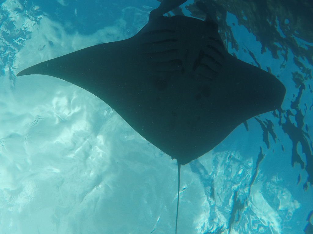 915e89f7-09eb-4ed4-9e15-2a590bc57bbe