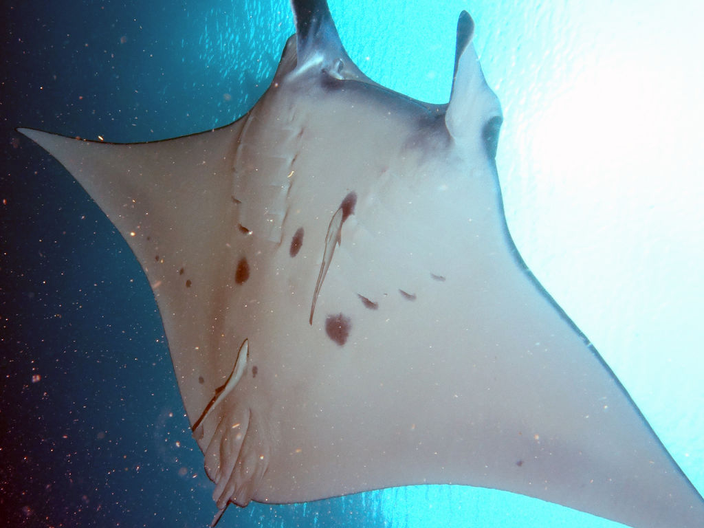 46d13aa0-163c-405a-ab91-c6987654e153