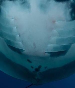 87f45858-f9a3-429b-be08-1931cc1c9e8f