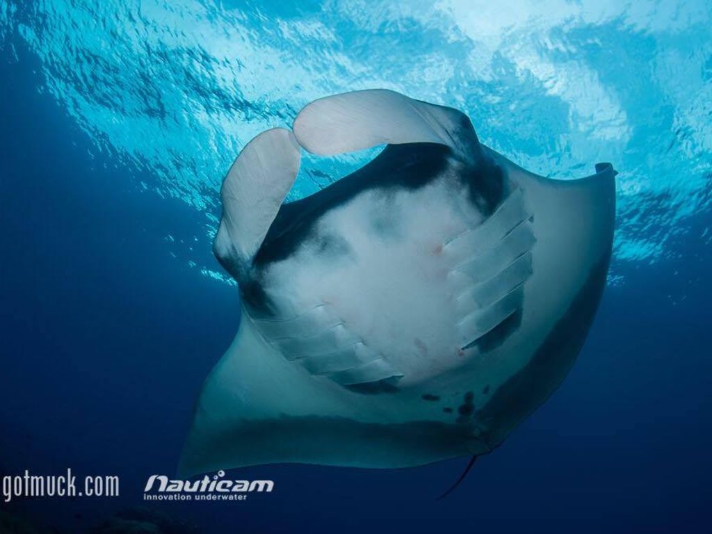 87f45858-f9a3-429b-be08-1931cc1c9e8f