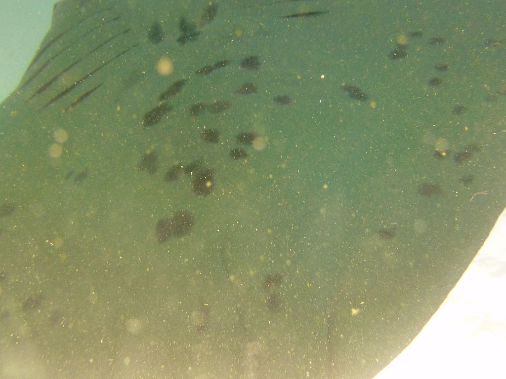 e953b4f3-4ff5-4103-be1d-0f9a0b5508a3