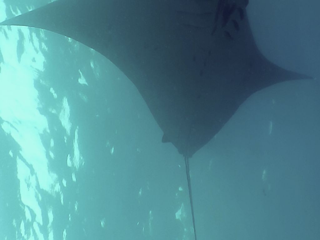 b33e5241-7f74-4f40-b799-2985905056ee