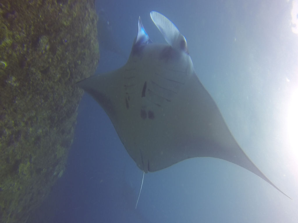 71039fc1-d186-400e-a715-187adcc37082