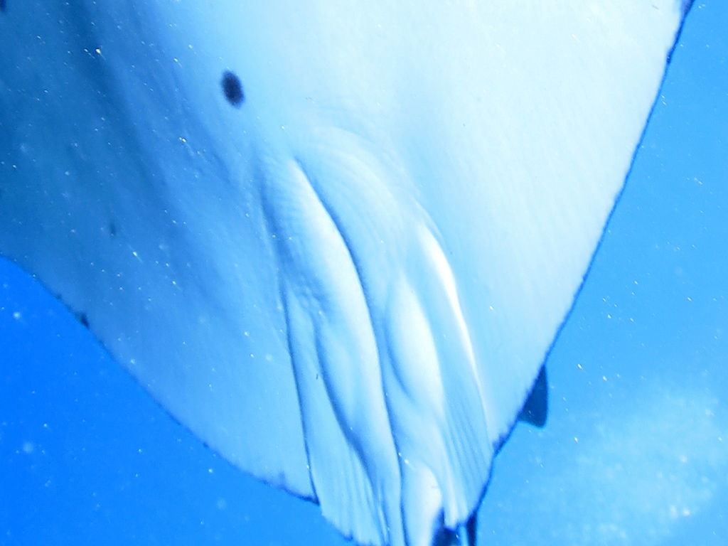 b33e5241-7f74-4f40-b799-2985905056ee