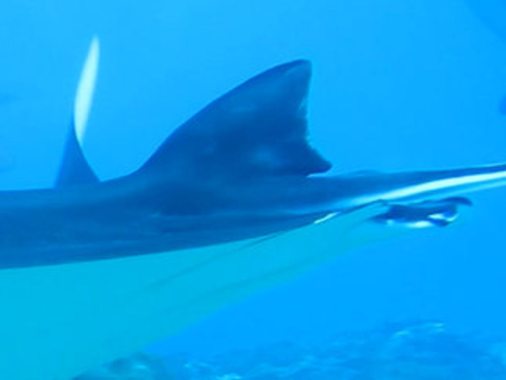 b33e5241-7f74-4f40-b799-2985905056ee