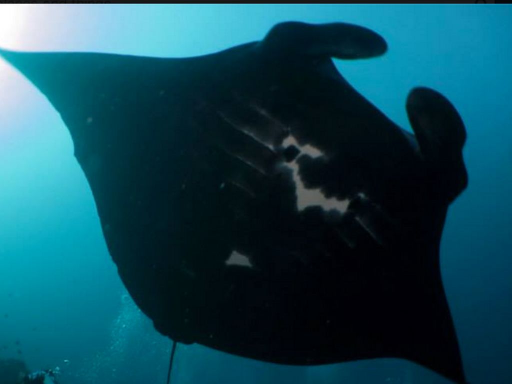 8614f9f9-cb58-4831-b72a-85d27e598525