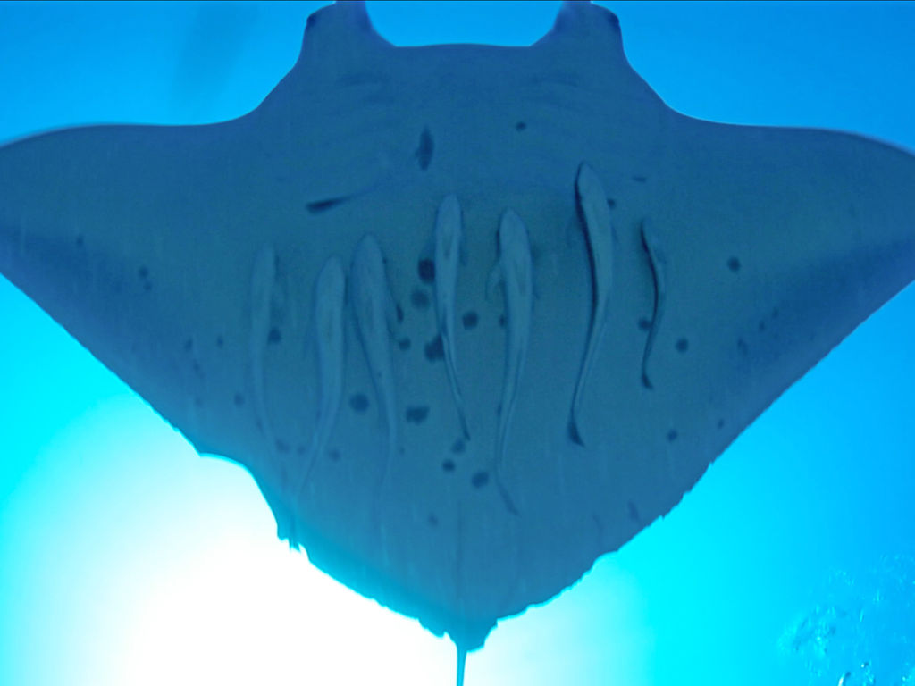 e3cfc5a7-fd7b-4143-8e82-dd12eebc2827