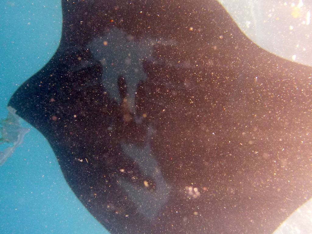 96534324-4279-4c19-bc4c-edc5326342a1