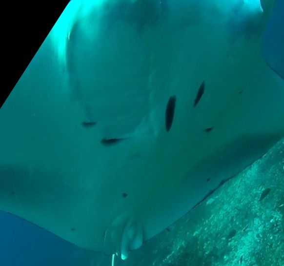 717af837-b678-45b9-ab9b-68ef69d130ac