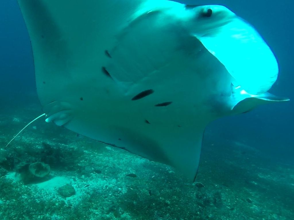 717af837-b678-45b9-ab9b-68ef69d130ac