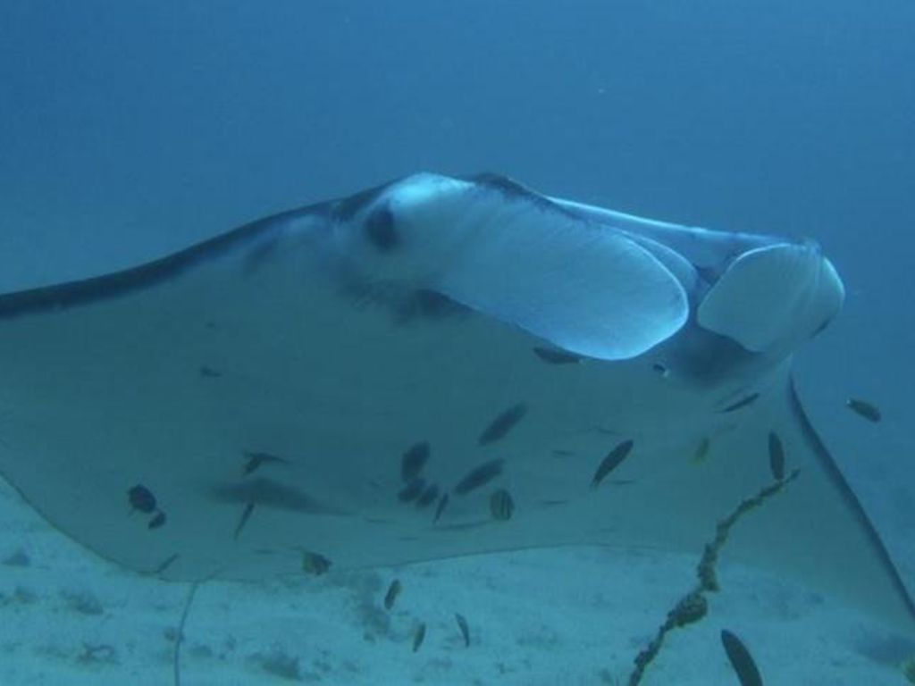 6905577f-4dc5-497e-8673-4430a590cdf4