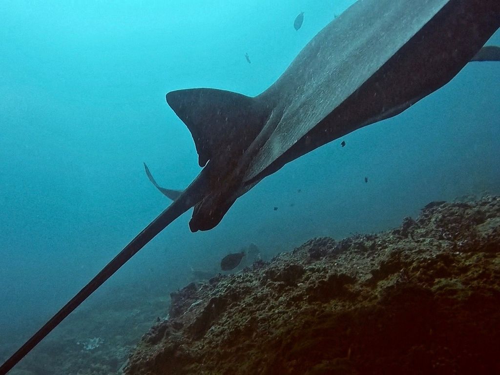 eca5b21f-8e4b-4602-b24c-9c4bb407e847