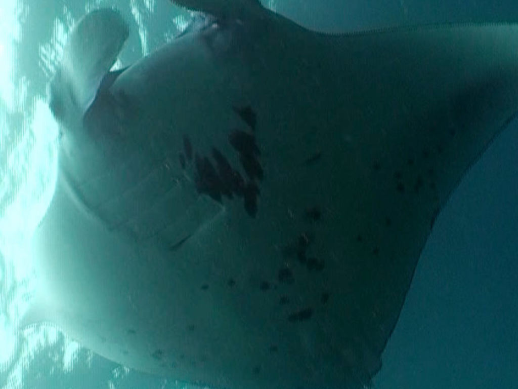 bb3e6b40-4656-4742-9eeb-8e12f379f6f2