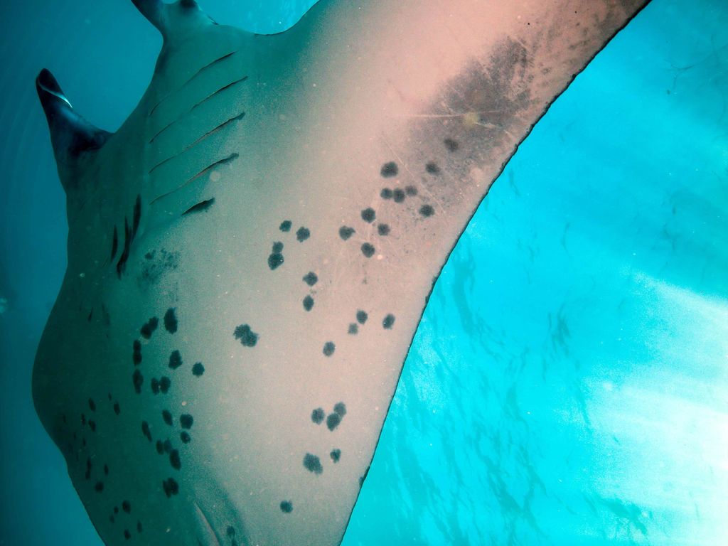 e953b4f3-4ff5-4103-be1d-0f9a0b5508a3