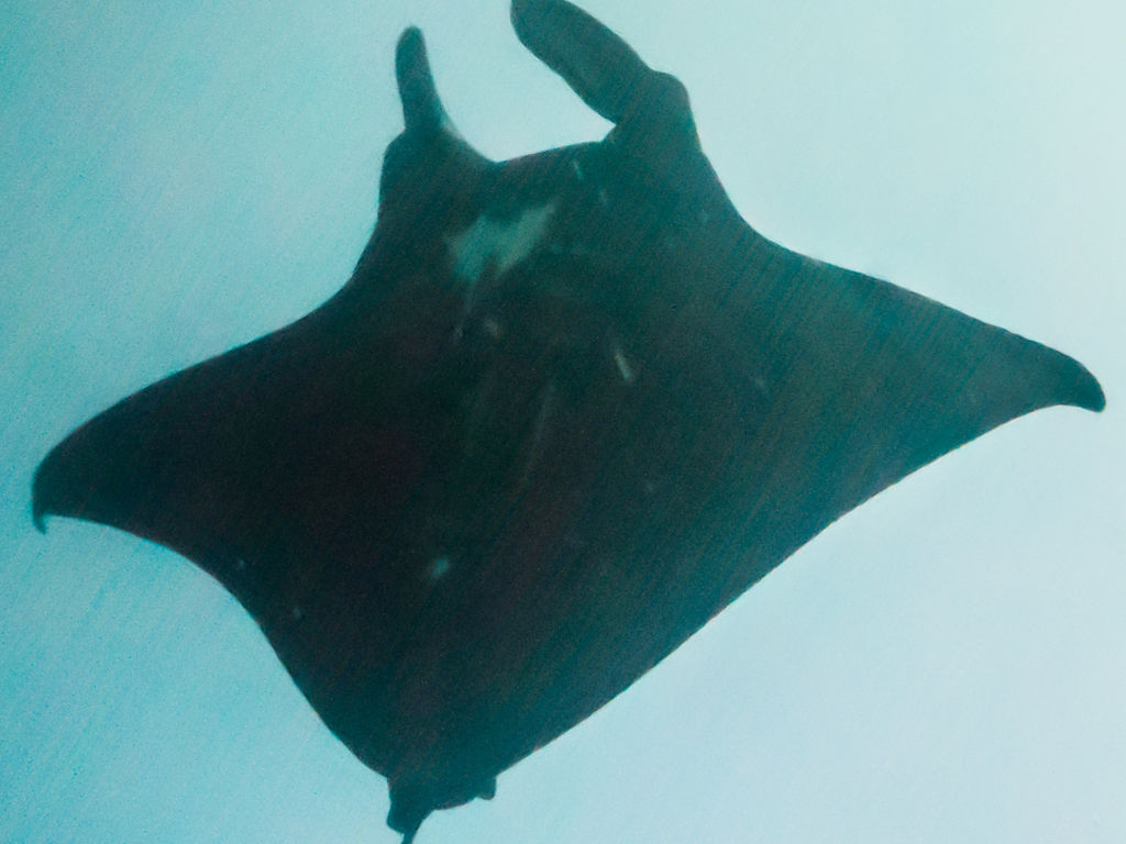 5cbf090b-7622-48ac-bdbd-6444e603cfda