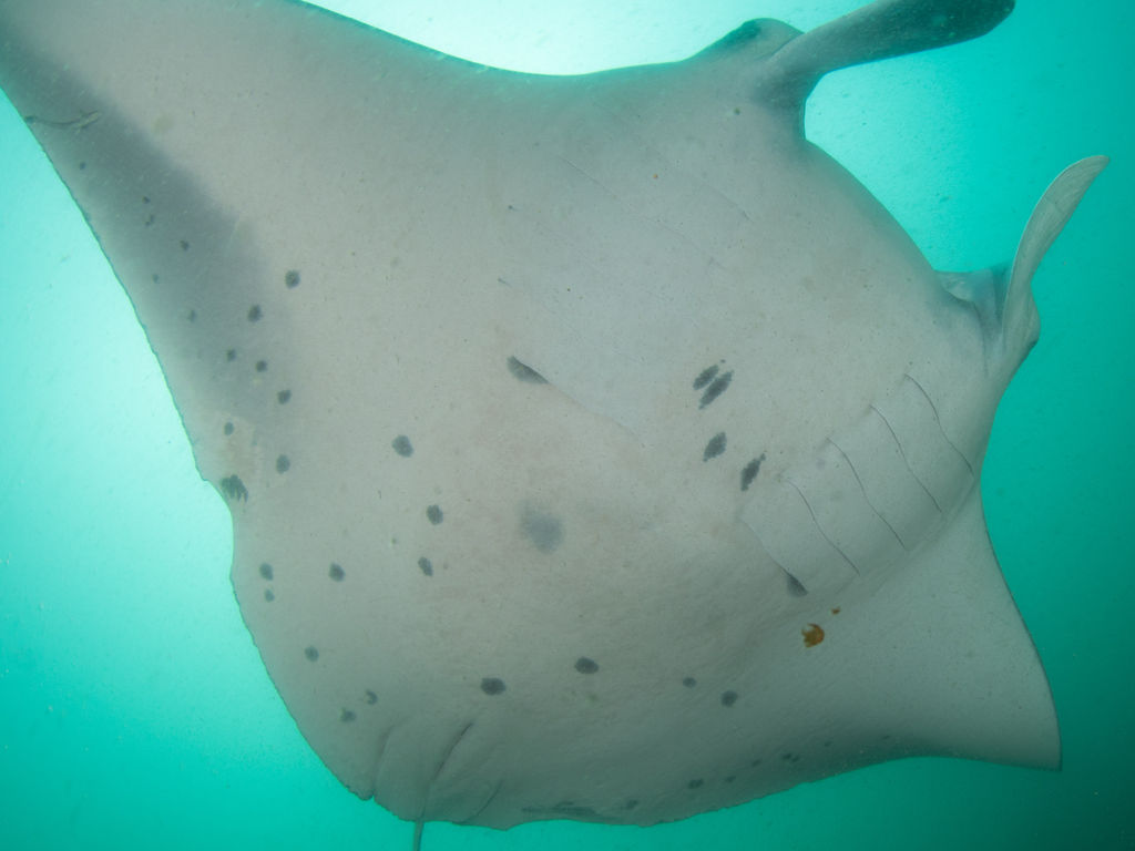 6970d68f-1dc4-4d24-b642-c77c51b7f0c8