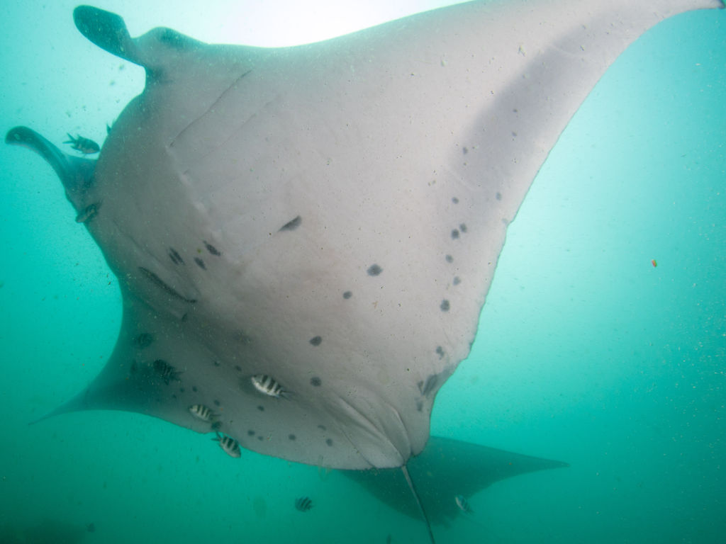 6970d68f-1dc4-4d24-b642-c77c51b7f0c8