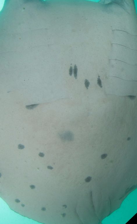 6970d68f-1dc4-4d24-b642-c77c51b7f0c8