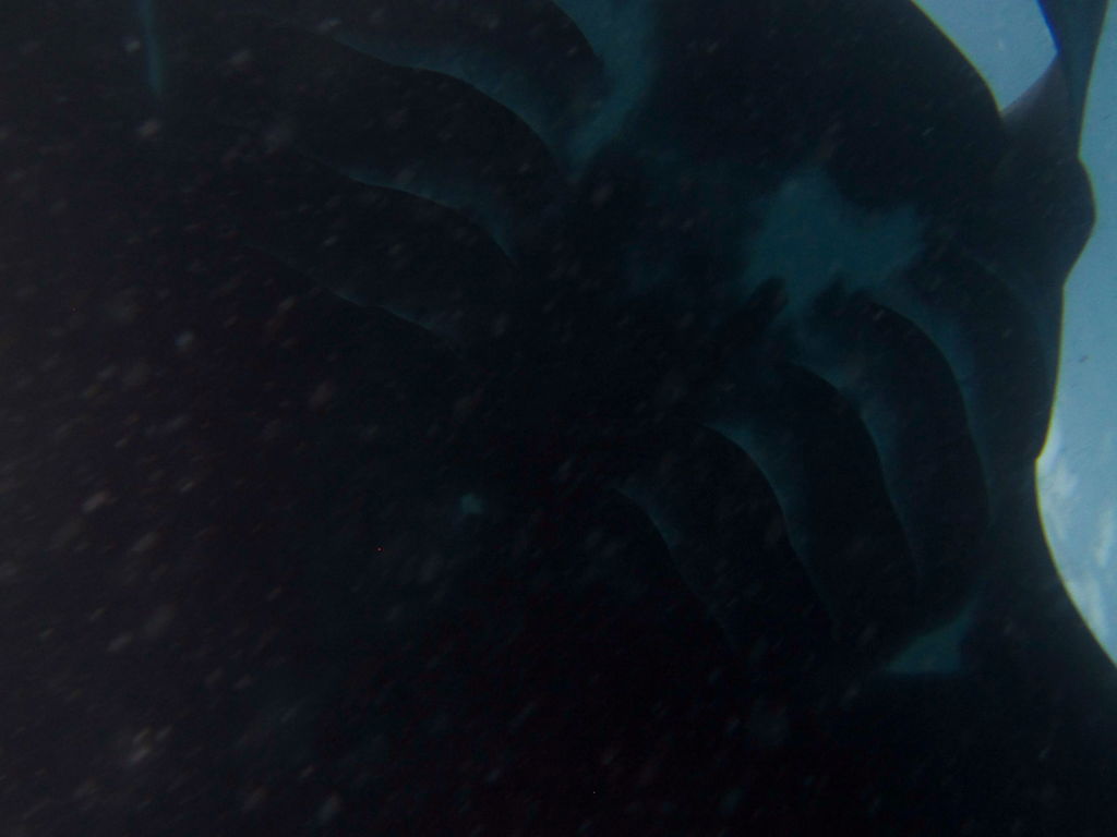 89689e31-0fa4-47d2-884c-164808d236c0