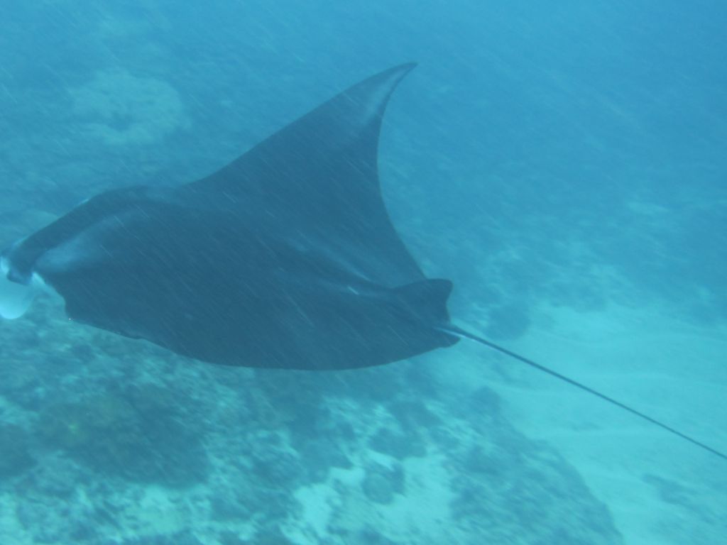 19370f99-a441-4b1a-9c62-bf9aad16977b