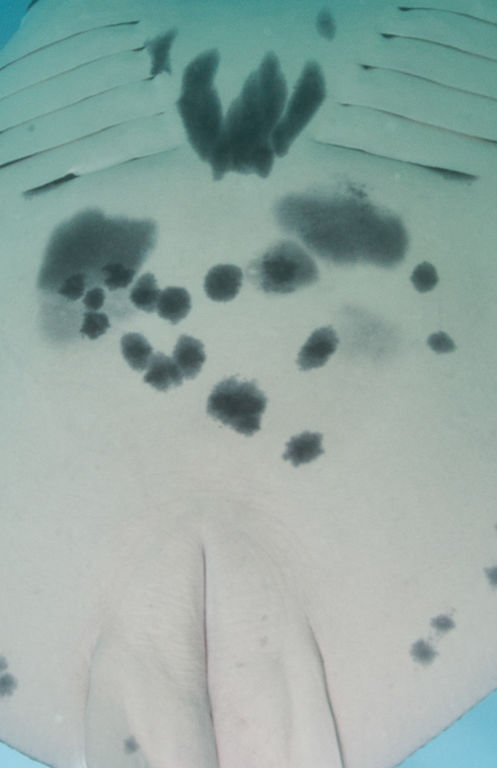 31071435-9020-4a71-a9b6-8afbac1a5a67