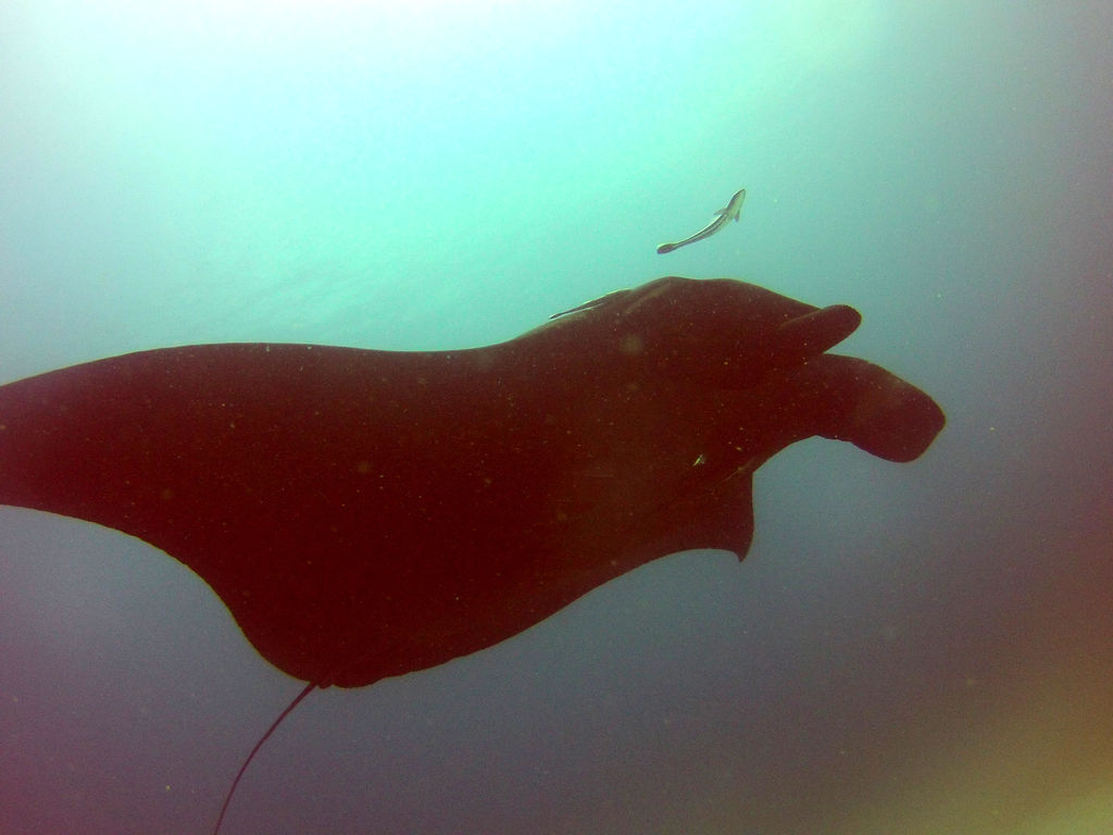 8322fc22-7577-439b-8544-294da5dda65a