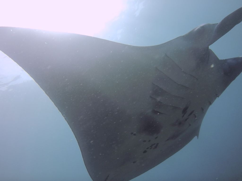 0afa99bc-1420-49dd-aa2e-4cc0417251db