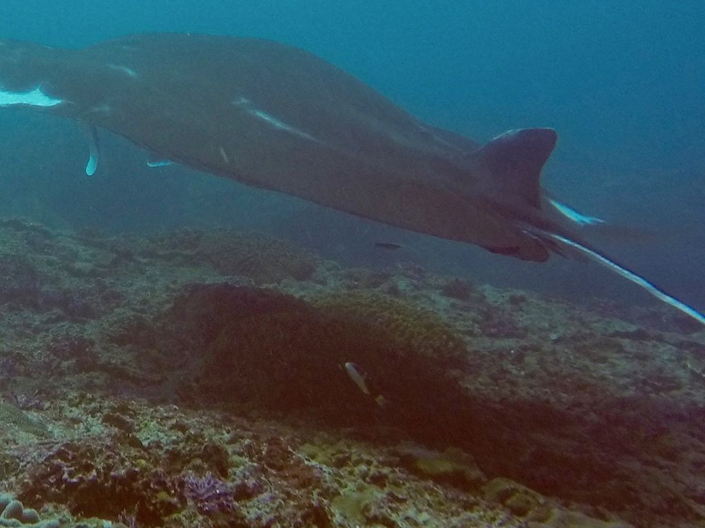 f9f88882-ca81-4b54-be32-e9f2de9a43f7