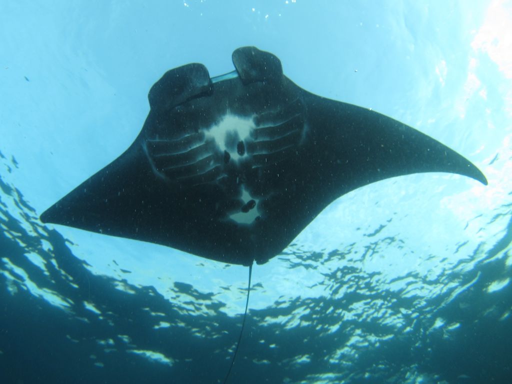 c6c475fd-4a3c-4963-b143-4791fe1be909