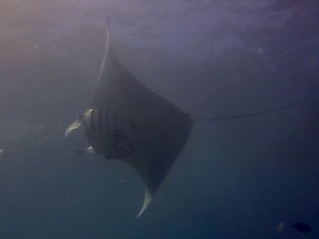 73a09a0a-bdc8-40c1-85fd-c43ce5bc2f49