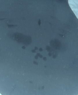 481fefec-b0bf-4392-8039-4e102270fd27