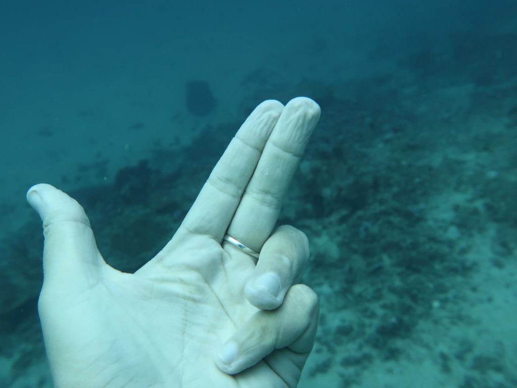 481fefec-b0bf-4392-8039-4e102270fd27