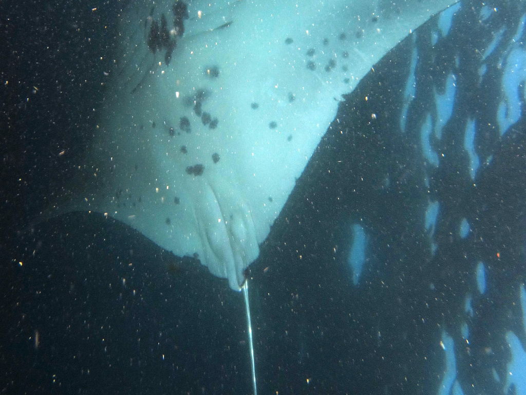 bb3e6b40-4656-4742-9eeb-8e12f379f6f2