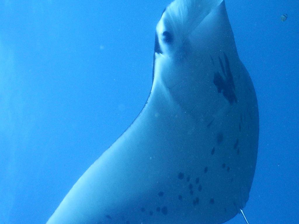 71810435-45ba-48de-8b55-abc097d317d0