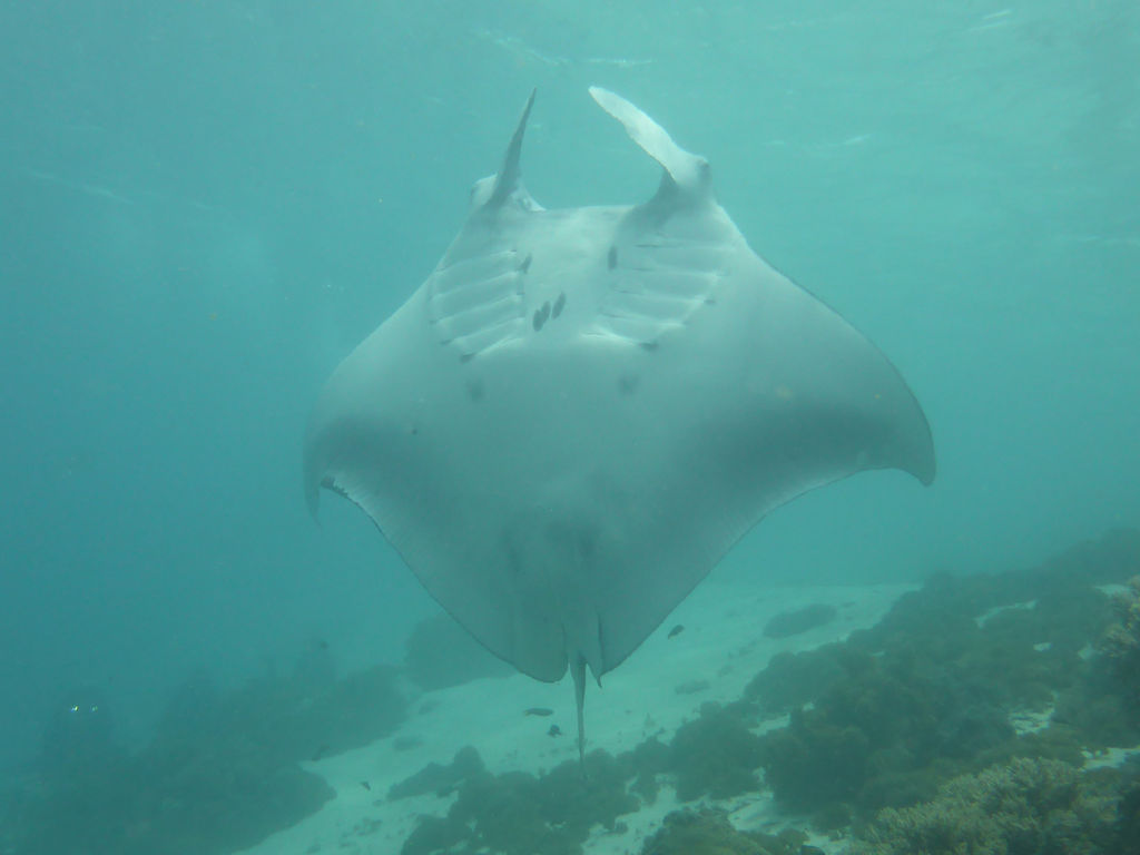 b42a6bb2-486c-442c-98be-010f5362b772