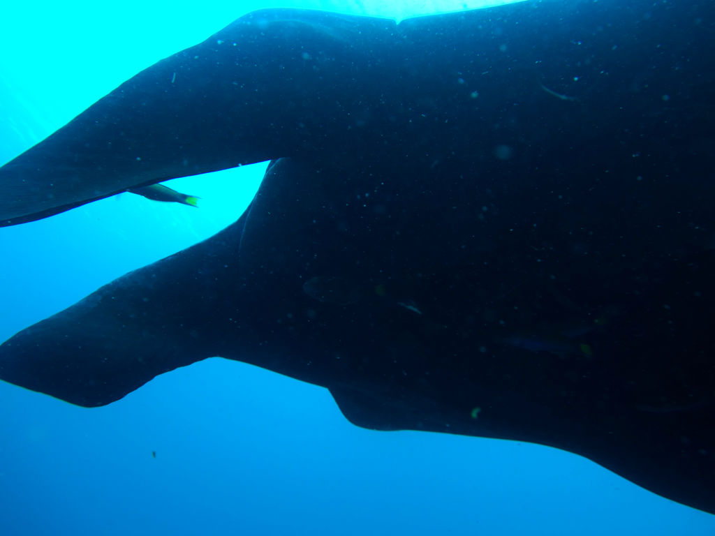 8322fc22-7577-439b-8544-294da5dda65a