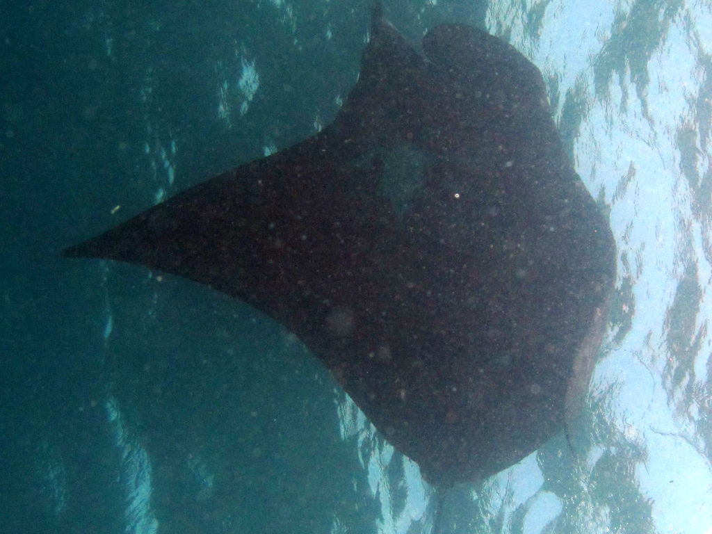 da6092d6-4d9e-4e24-843e-be12788f43c4