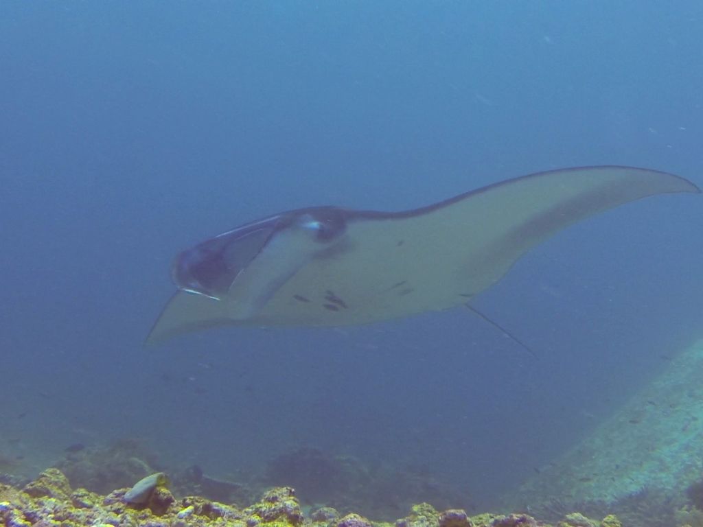 0418bd01-0170-4fe8-b60d-8073acfcde89