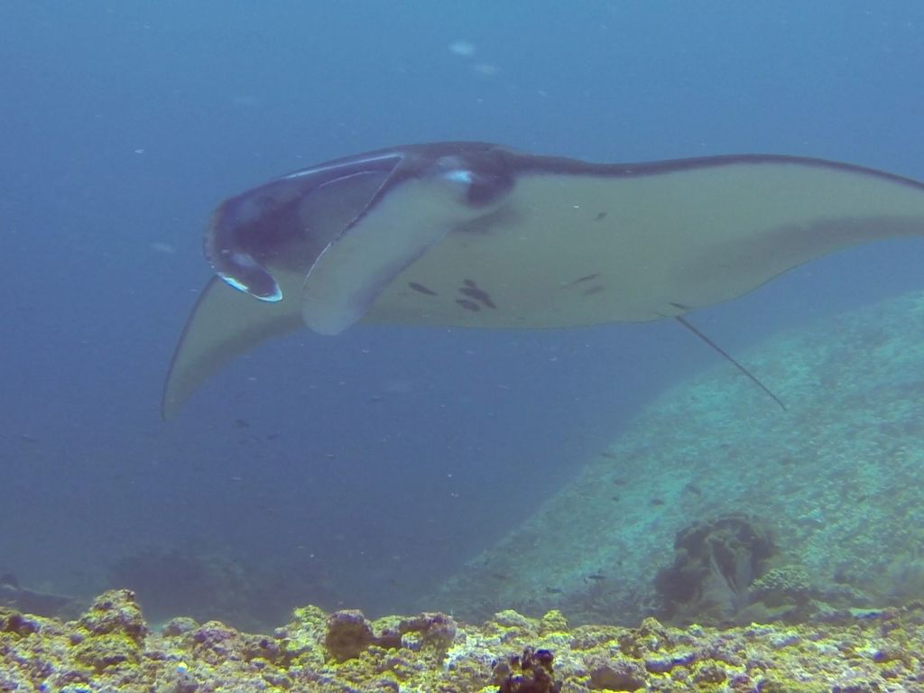 0418bd01-0170-4fe8-b60d-8073acfcde89