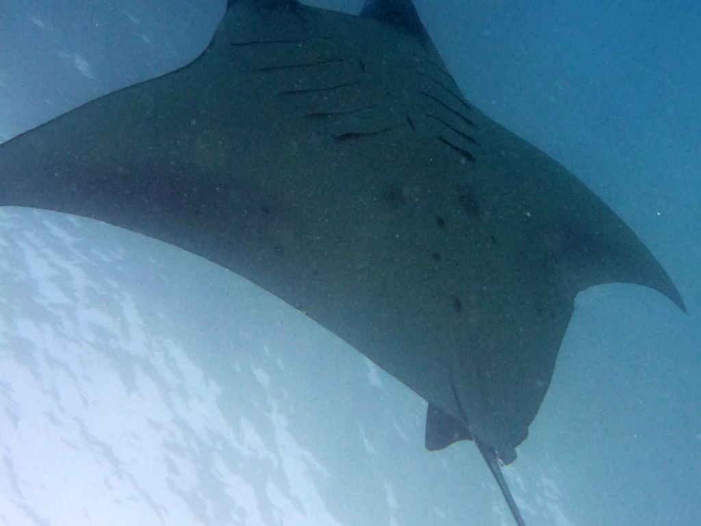 a61b5982-e37a-4a0e-a18b-40737045ea45