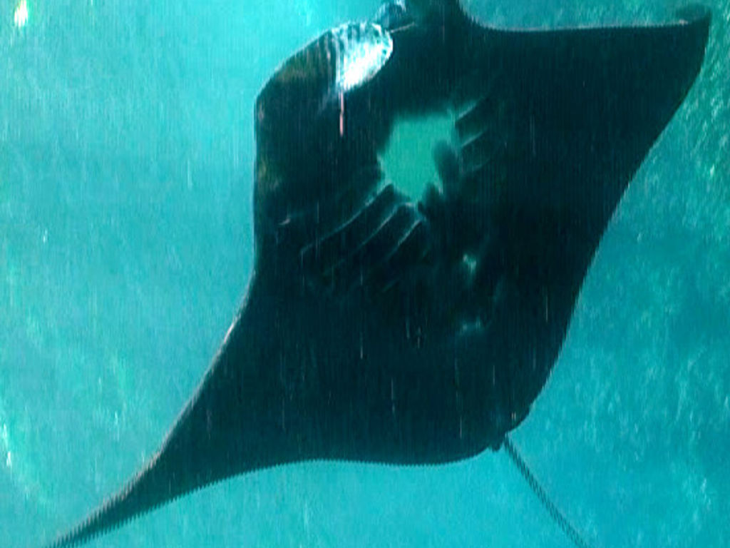 d76b7a87-038f-48d6-8388-c8d75366ea78