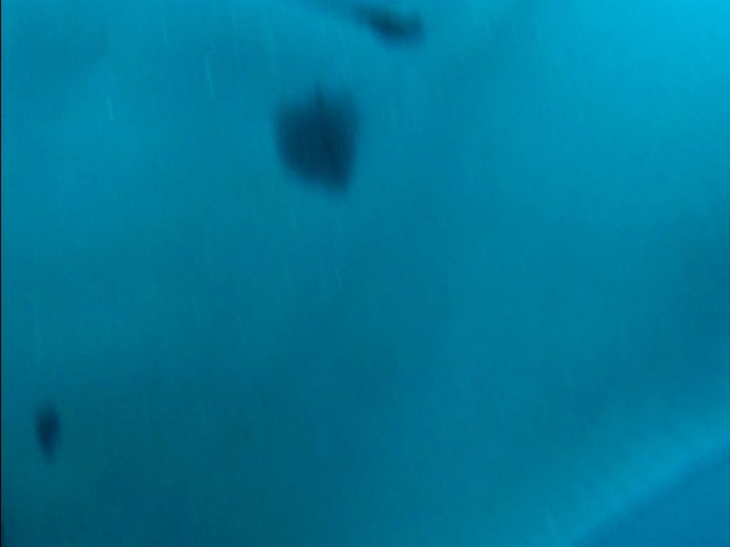 46d13aa0-163c-405a-ab91-c6987654e153