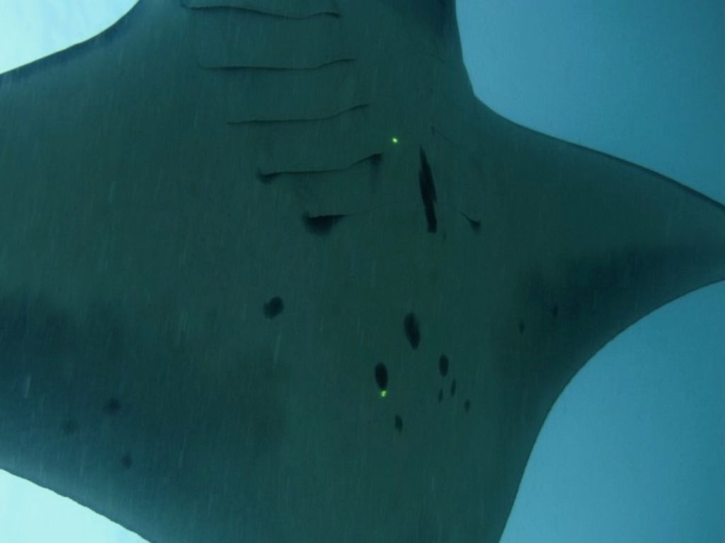 bd5ac41f-f120-4c49-b404-94ff32037558