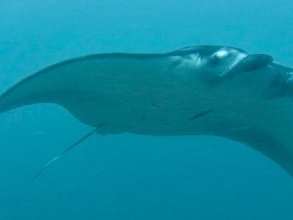 bd5ac41f-f120-4c49-b404-94ff32037558