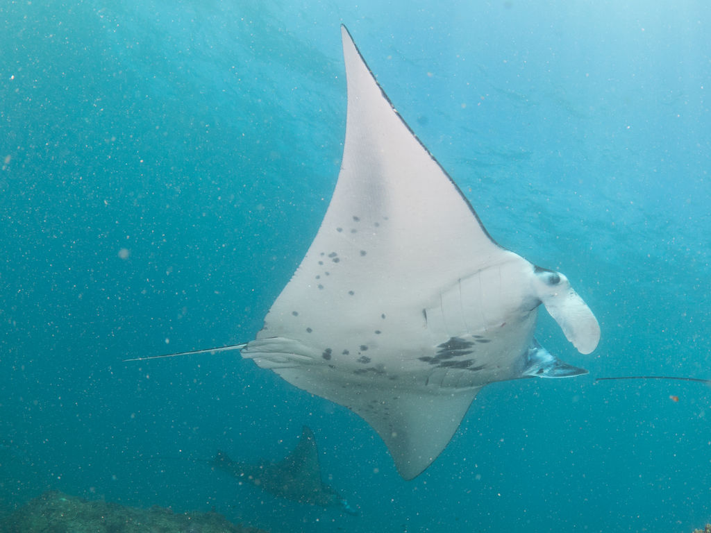 bb3e6b40-4656-4742-9eeb-8e12f379f6f2