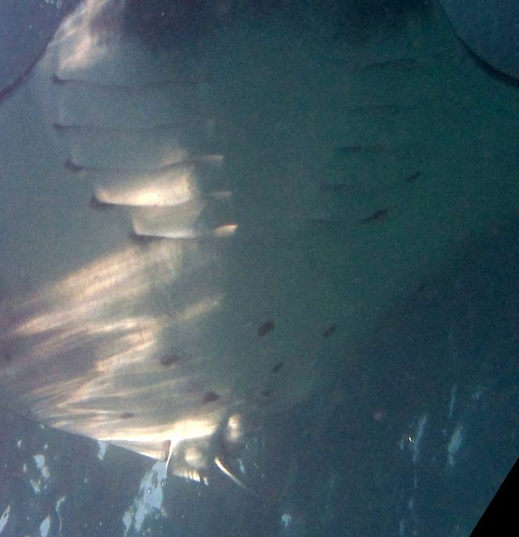 3a2d25fb-101e-41b1-b82c-ab54ab58f82d