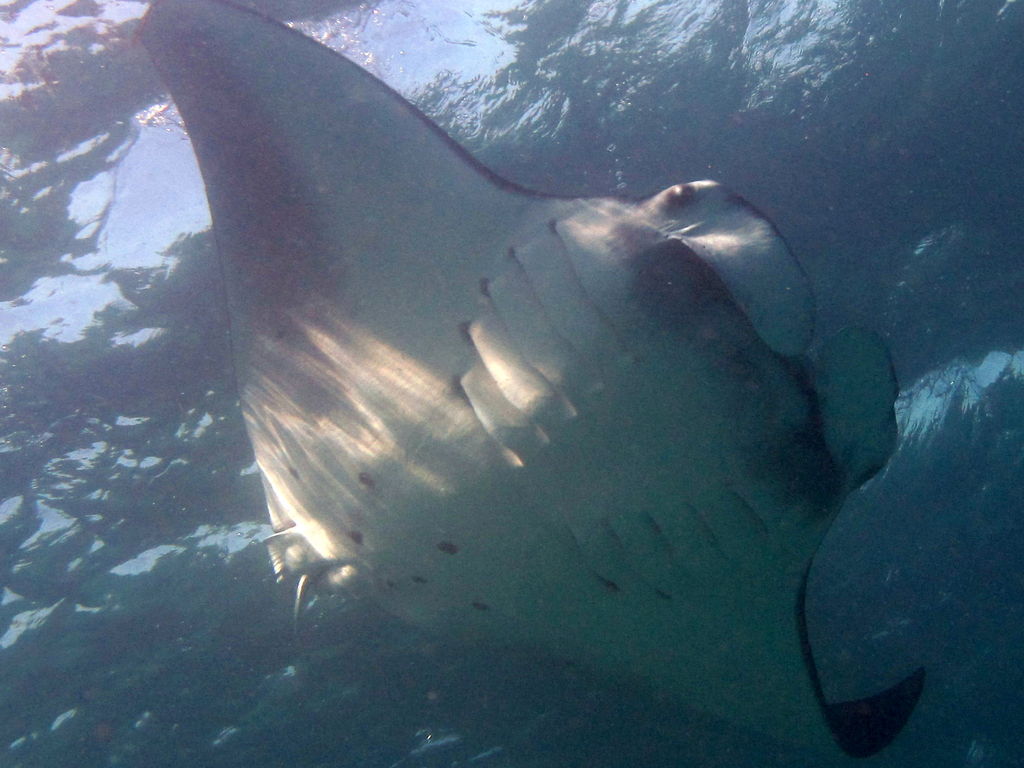 3a2d25fb-101e-41b1-b82c-ab54ab58f82d