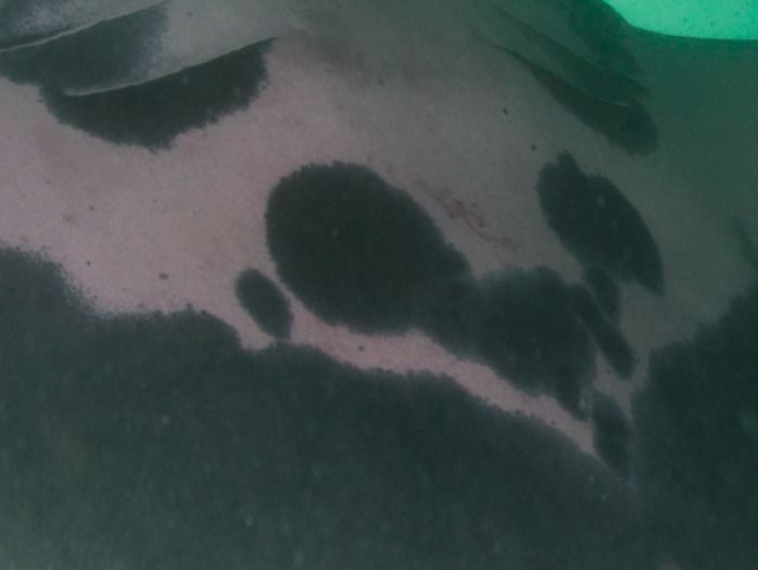 f4ff5f52-3c16-4714-9d20-5ec4b9d6b60c